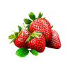 Fresh Strawberry
