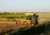blog-6